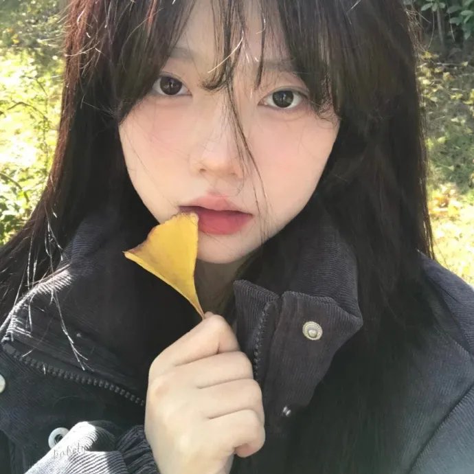 萌犬好声音